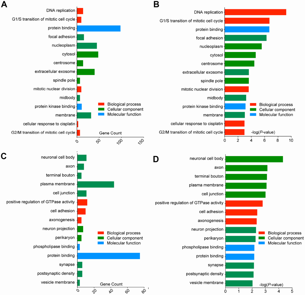 Gene Ontology analysis and significantly enriched GO terms of DEGs in GBM. The top 15 enriched DEGs of each group are shown (p  (A) GO analysis classified the upregulated DEGs into 3 groups (molecular function, biological process and cellular component), gene counts of each GO terms were showed. (B) Significantly enriched GO terms of upregulated DEGs in GBM based on their p-value. (C) GO analysis classified the downregulated DEGs into 3 groups, gene counts of each GO terms were showed. (D) Significantly enriched GO terms of downregulated DEGs in GBM based on their p-value.