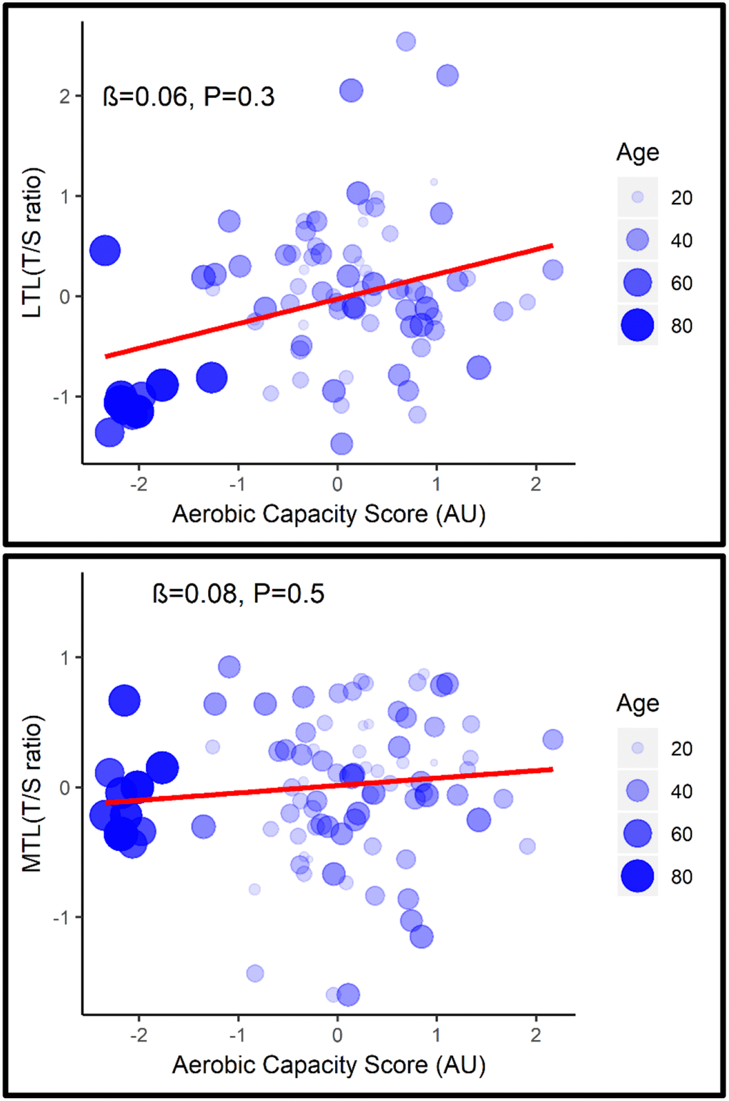 Aerobic capacity and telomere length in human skeletal muscle and