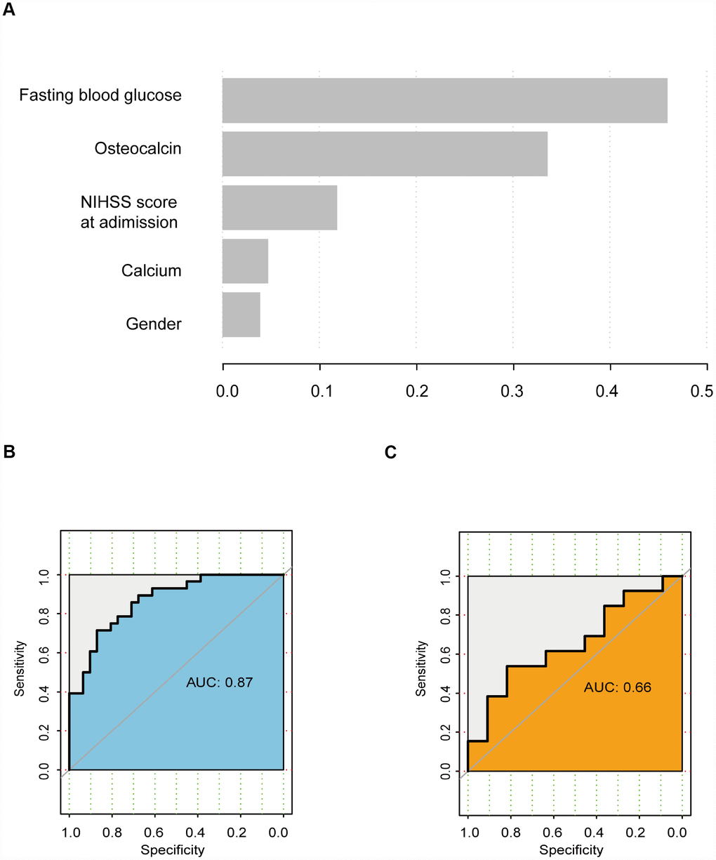 GBDT analysis. (A) Rank of variables according to their importance. (B) ROC curve of the training cohort. (C) ROC curve of the validation cohort.