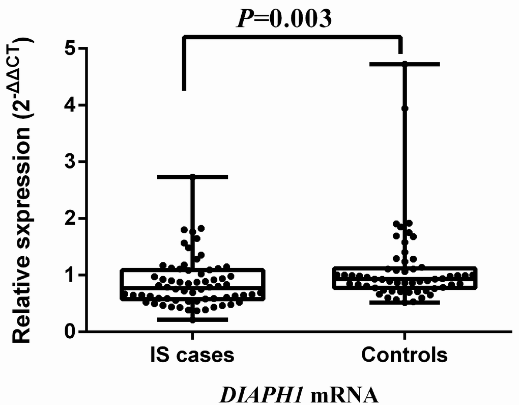 Comparison of DIAPH1 mRNA expression between ischemic stroke cases and controls. The expression of DIAPH1 mRNA (2-∆∆CT) in PBMCs was significantly downregulated in IS compared with controls [0.773 (0.575, 1.088) vs 0.933 (0.775, 1.117); P = 0.003]. IS, ischemic stroke.