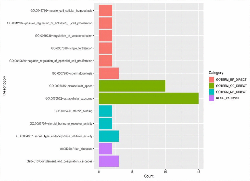 GO terms (including biological process (BP), cellular component (CC) and molecular function (MF)) and KEGG pathways involved in the construction of ICC-related ceRNETs of 44 DE mRNAs.