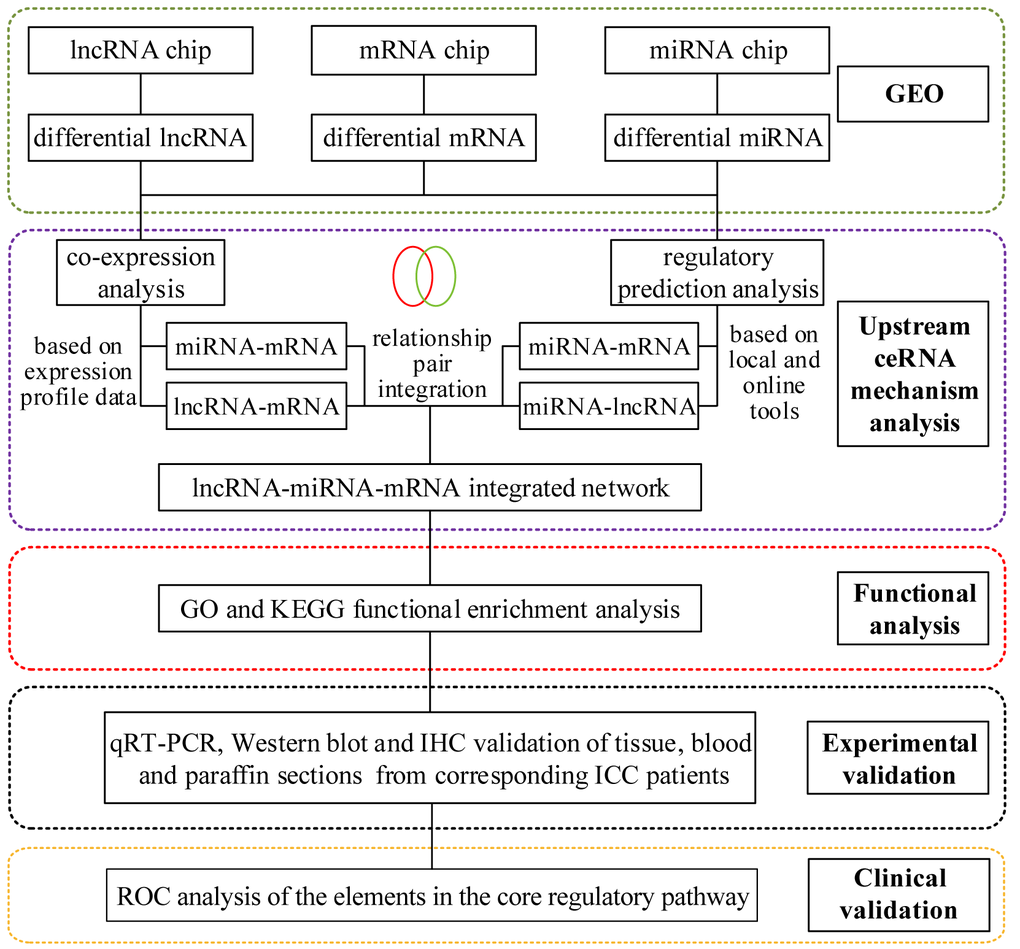 The flowchart of the study.