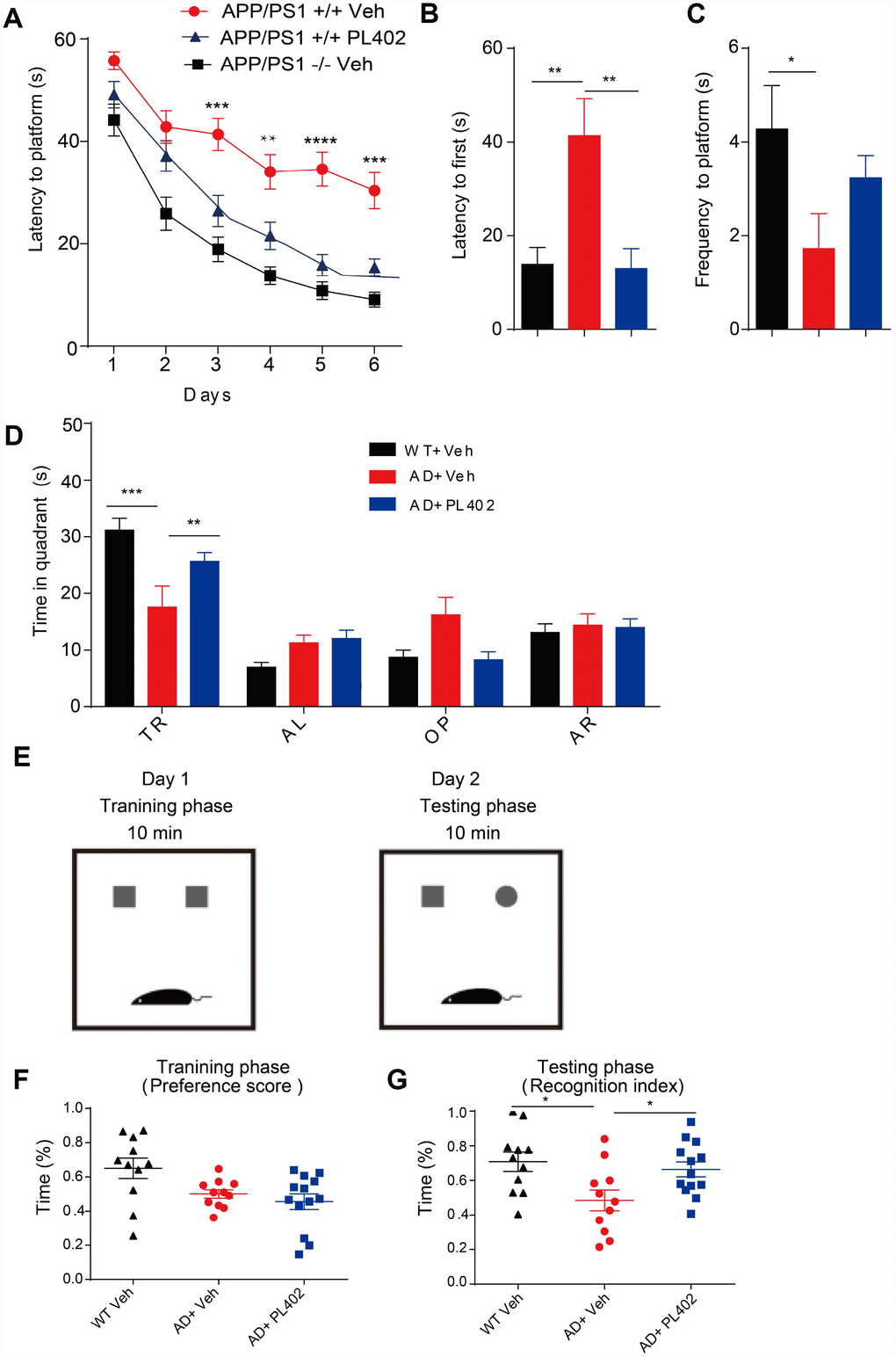 PL402 ameliorates cognitive deficits and improves memory retention in APP/PS1 mice. (A) Morris water maze (MWM) test of wild type (WT) mice and vehicle- or PL402 treated APP/PS1 mice. (B) Latency to platform first of each group mice in day 7 probe trial test. (C) Frequency to platform in probe trial for each group of mice in day 7 probe trial test. (D) Time spent of each group mice in the target quadrant in day 7 probe trial test. TQ, target quadrant; AR, adjacent right; OP, opposite; AL, adjacent left. Data are presented as mean ± SEM, each group n = 6, ∗p A–D) or one-way ANOVA (B–C) followed by Bonferroni test. (E–G) Diagram of Novel object recognition (NOR) analysis(E). (F–G) Preference scores of training phase (F) and Recognition Index of testing phase (G) during a 10-min testing phase are shown, respectively. Data are presented as mean ± SEM, WT group n = 11, APP/PS1 Vehicle group n = 11, APP/PS1 PL402 group n = 13. ∗p 