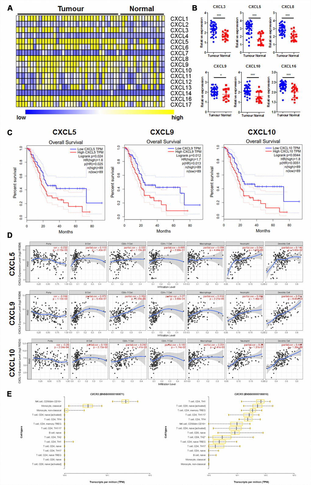CXCL9 chemokine promotes the progression of human pancreatic