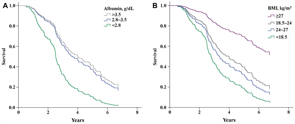 Kaplan-Meier curves showing the effects of serum albumin levels (A) (PB) (P