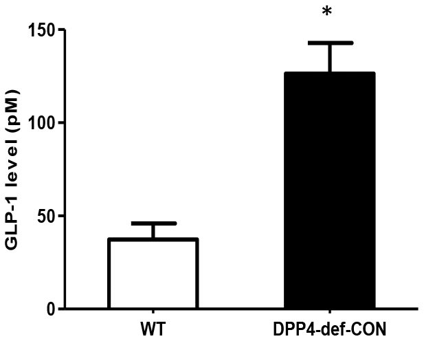 Circulating plasma GLP-1 level is increased in DPP4-deficient rats. Plasma GLP-1 concentration was measured using rat-specific GLP-1 ELISA kit within 3 h after collecting blood from wild-type and DPP4-deficient rats at 8 weeks of age. Data are shown as the means ± SEM. *p 