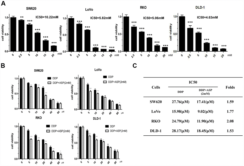 Aspirin synergizes the inhibiting effect of Cisplatin on cell viability in colon cancer cells. (A) Human colon cancer cells SW620, LoVo, RKO and DLD-1 were treated with different concentrations of Aspirin for 48 h, and the cell viability was tested by MTT assay (n=6). (B) Human colon cancer cells were treated with indicated dose of Cisplatin alone or Cisplatin combined with 2 mM Aspirin for 48 h, and the cell viability was tested by MTT assay (n=6). (C) IC50 values of Cisplatin were calculated by software CVXPT32 in colon cancer cells upon treatment with Cisplatin alone or Cisplatin combined with 2 mM Aspirin. Data were presented as means ± SD, *P
