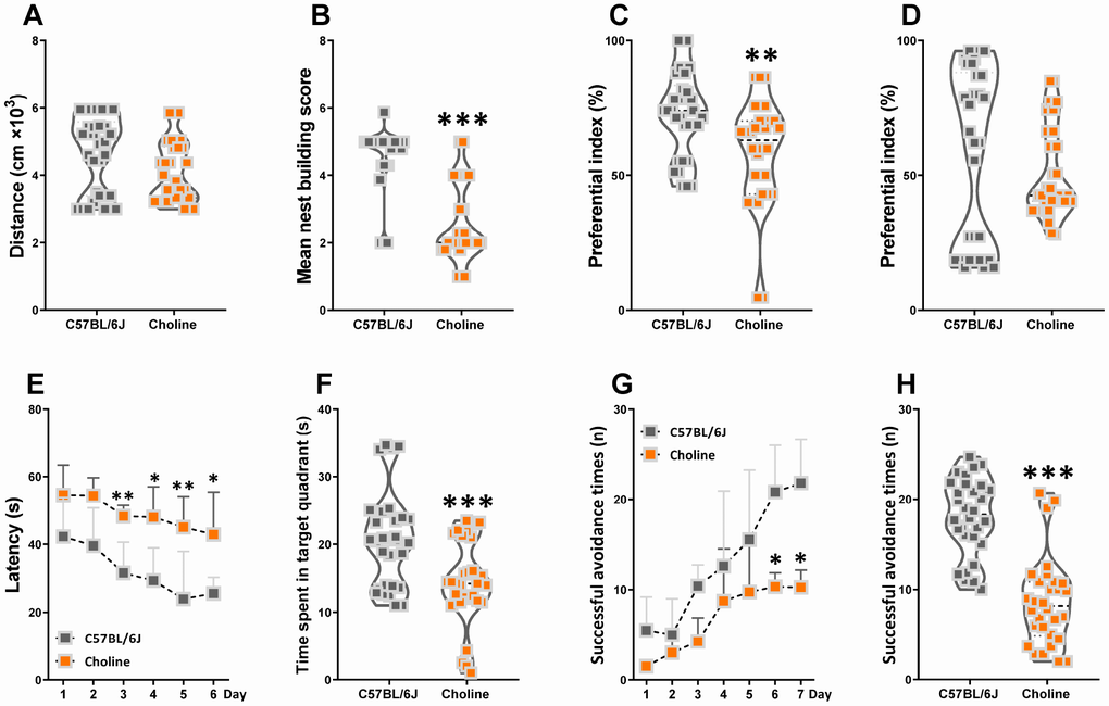 Effects of choline supplementation on cognitive declines in C57BL/6J mice. The spontaneous locomotor activity (A), nest building score (B), preferential index after training 1 hour (C) and 24 hours (D) in the phase of novel object test, latency in the learning phase (E) and time spent in target quadrant in the testing phase (F) of Morris water maze test, successful avoidance times in the learning (G) and testing phase (H) of shuttle box test. *PPPt-tests. All values are mean ± S.D. n=30.