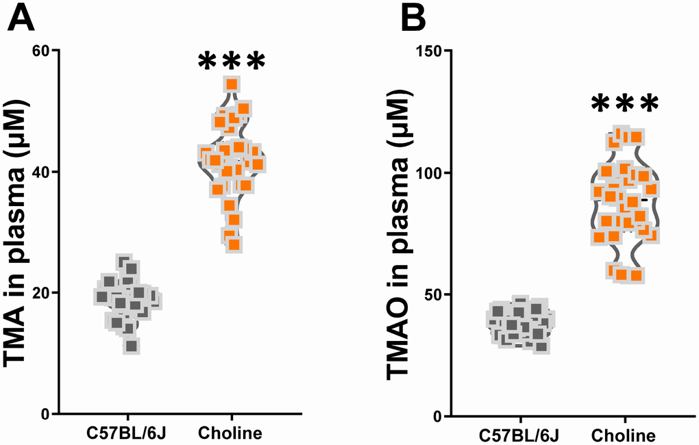 Effects of choline supplementation on TMAO synthesis in C57BL/6J mice. Plasma TMA (A) and TMAO (B) levels in C57BL/6J mice with or without choline supplementation (1%) as determined by LC/MS. ***Pt-tests. All values are mean ± S.D. n=30.