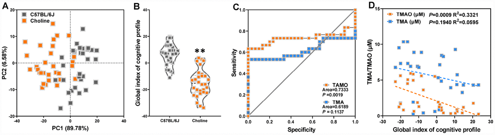 Increased plasma TMAO levels are associated with cognitive declines in C57BL/6J mice. Principal component analysis (PCA) data derived from behavioral experiments of mice with or without choline supplementation (A). Each axis was derived by PCA. Each point represents one of the mice with or without choline. Principal component 1 (variance explained: 89.78%), principal component 2 (variance explained: 6.58%) considered significant variance with a load below or equal to 0.50 (absolute value). The mean PCA scores of mice with or without choline (B). Receiver operating characteristic (ROC) curve plots for distinguishing choline-treated mice from control mice based on a TMA- or TMAO-based random forest model (C). Spearman correlation between the TMA, TMAO concentrations and cognitive impairments in WT and APP/PS1 mice (D). **Pt-tests. All values are mean ± S.D. n=30.