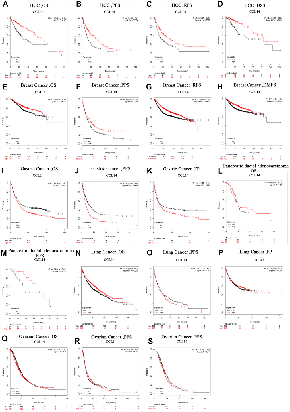 Kaplan-Meier survival curve analysis of the prognostic significance of high and low expression of CCL14 in different types of human cancers using the Kaplan-Meier plotter database (A-S). (A–D) High CCL14 expression was correlated with better OS, PFS, RFS and DSS in HCC cohorts (n=364, n=370, n=316, n=362). (E–H) Survival curves of OS, PPS, RFS and DMFS in the breast cancer cohort (n=1,404, n=414, n=3,915). (I–K) OS, PS and DFS survival curves of gastric cancer. High CCL14 expression was correlated with poor OS and PS (n = 876, n = 499, n=641). (L, M) OS and RFS survival curves of ductal adenocarcinoma (n = 69, n = 177). (N–P) OS, PPS and FP survival curves of lung cancer (n = 1,926, n = 344, n=982). (Q–S) OS, PFS and PPS survival curves of ovarian cancer (n = 1,656, n = 1,435, n=782). OS, overall survival; PFS, progression-free survival; RFS, relapse-free survival; DSS, disease-specific survival. DMFS, distant metastasis-free survival; PPS, post progression survival; FP, first progression.