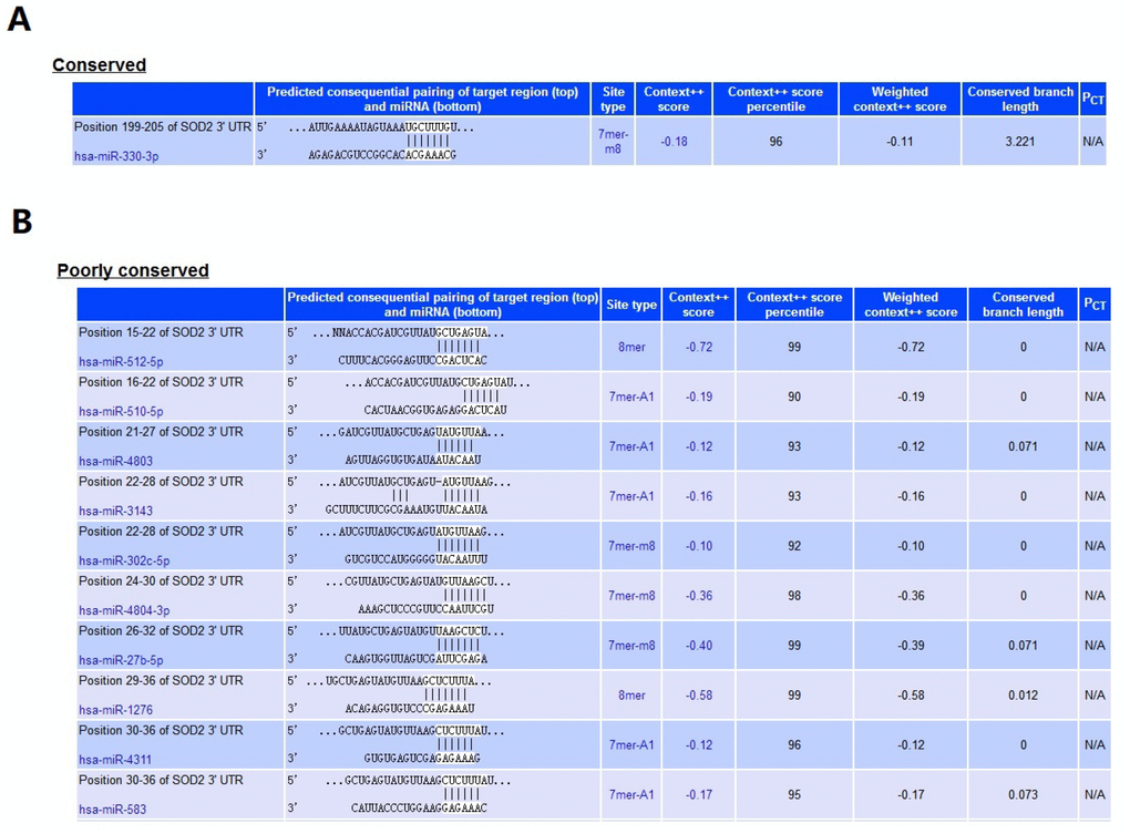 MiRNA that related to SOD2. At least 11 miRNA were predicted to be related to SOD2 by TargetScan database. The hsa-miR-330-3p (A) was highly conserved, and the rest ten were poorly conserved (B).