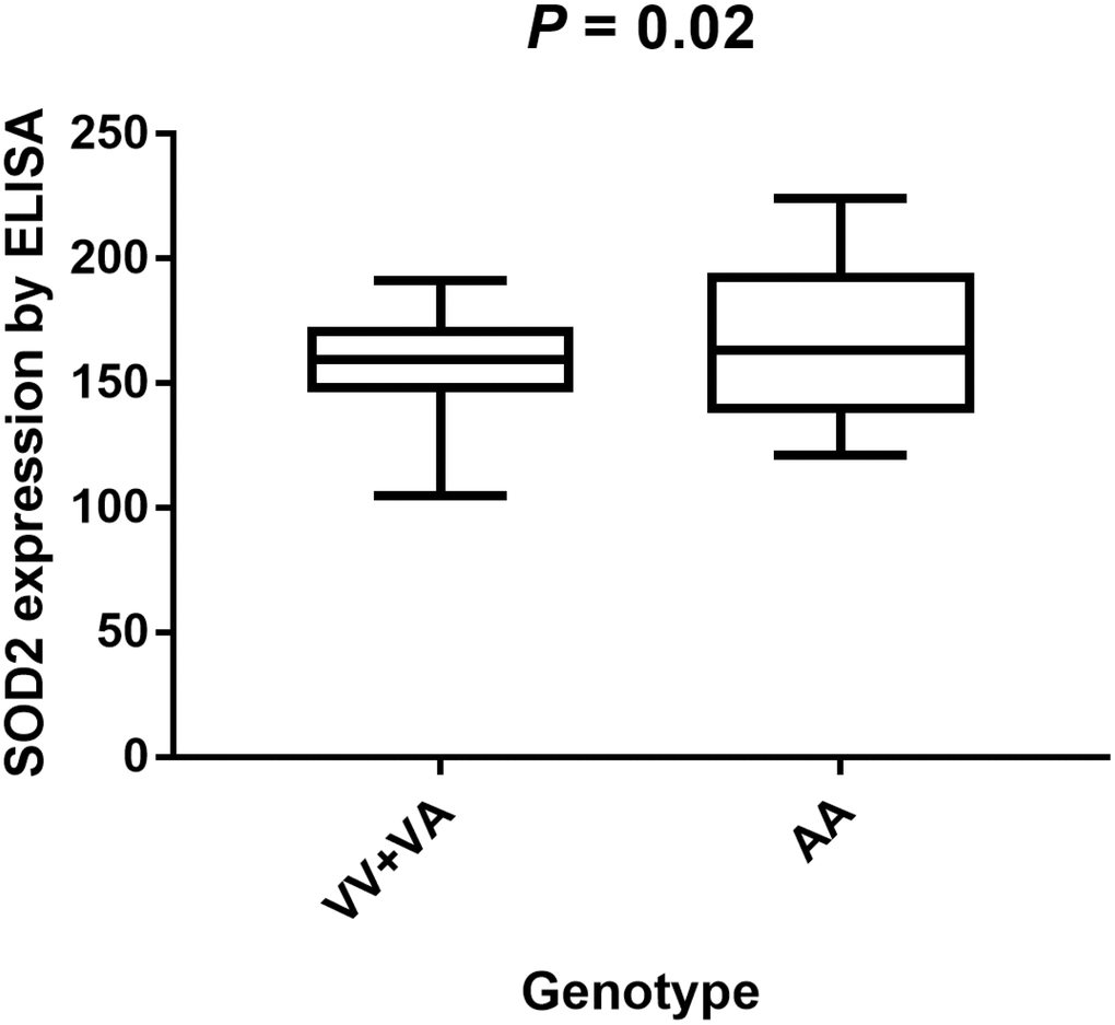 Analysis of serum SOD2 levels in V16A genotype of PCa volunteers with mean values. Serum SOD2 level of PCa patients with VV+VA genotypes was relatively lower than in those with AA genotypes (P = 0.02).