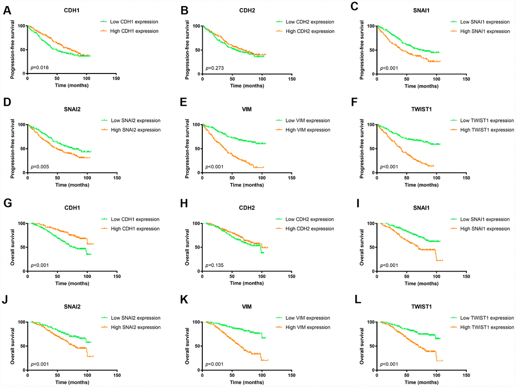 Kaplan Meier survival plot of ccRCC patients in FUSCC cohort according to high and low mRNA expression of six EMT related genes. Lower CDH1 mRNA expression was associated with both worse progression-free survival (p=0.016) and worse overall survival (pA, G); CDH2 mRNA expression was not an indicator of either progression-free survival (p=0.288) or overall survival (p=0.202) of ccRCC patients (B, H); Higher SNAI1 mRNA expression was associated with both worse progression-free survival (ppC, I); Higher SNAI2 mRNA expression was associated with both worse progression-free survival (p=0.005) and worse overall survival (pD, J); Higher VIM mRNA expression was associated with both worse progression-free survival (ppE, K); Higher TWIST1 mRNA expression was associated with both worse progression-free survival (ppF, L).