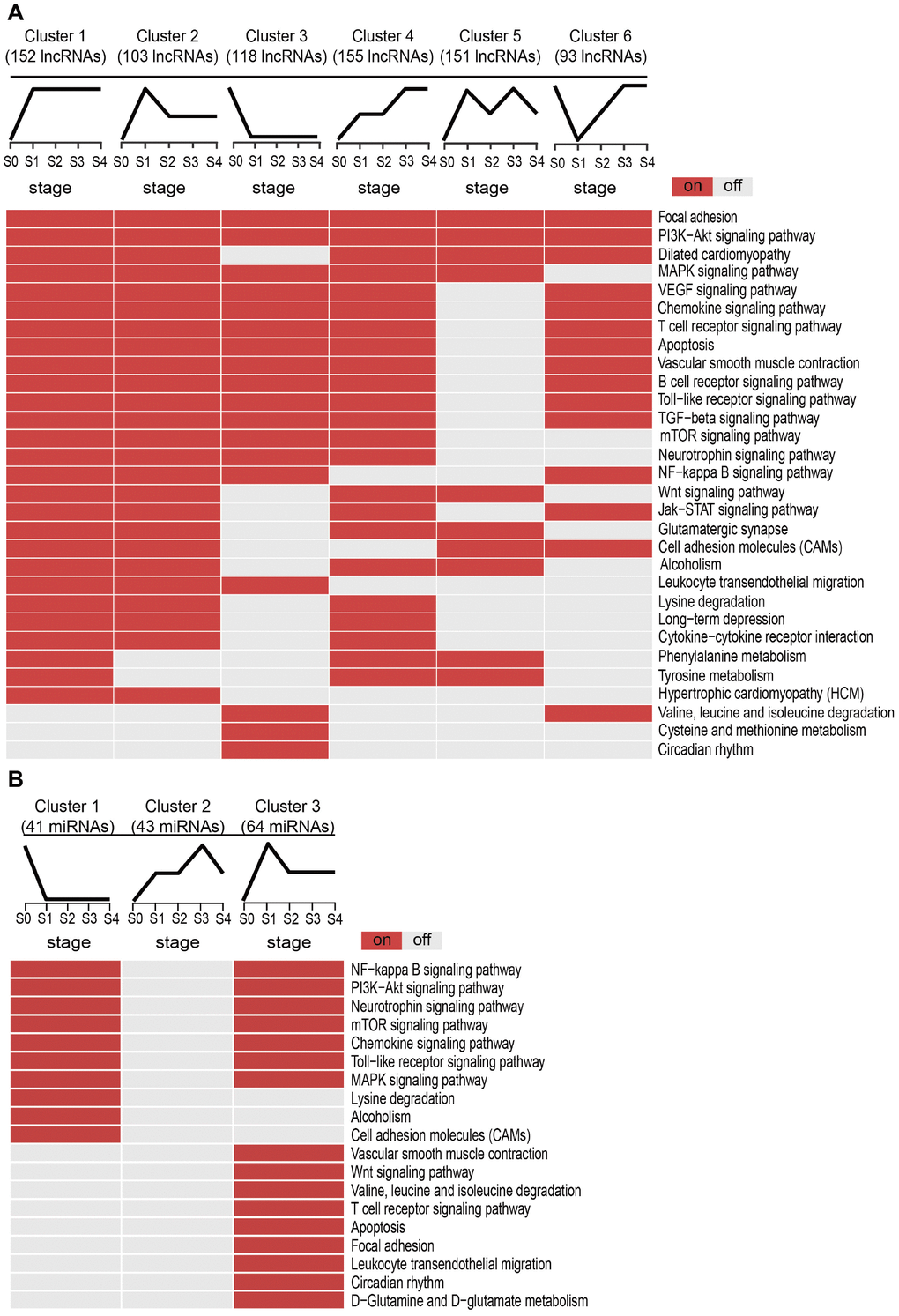 Subpathway enrichment analysis of MI-related lncRNA/miRNA clusters. (A) MI-related KEGG subpathways enriched for different lncRNA clusters. (B) MI-related KEGG subpathways enriched for different miRNA clusters.