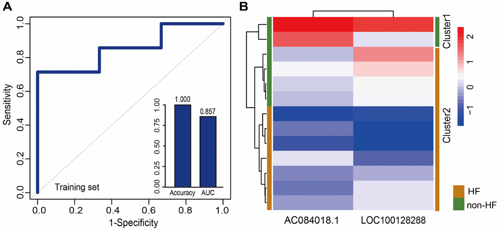 Classification performance of prognostic lncRNA biomarkers for MI. (A) Performance evaluation by 5-fold cross-validation of the 2 prognostic lncRNA biomarkers in the training set. (B) Hierarchical clustering heat map of 13 samples based on expression profiles of the 2 lncRNAs in the training set.