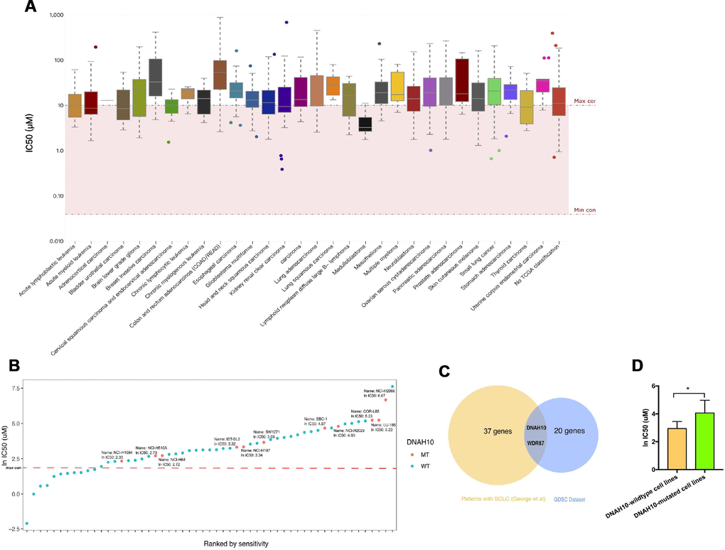 (A) IC50 distribution for cisplatin by tissue type. (B) Scatter plot of IC50 distribution for cisplatin in 55 SCLC cells. The red line shows the maximum screening concentration of 10.0 μM. DNAH10 mutant cell lines are highlighted in red. (C) Venn diagram showing the overlapping among genes predicted using the GDSC dataset and 101 patients with SCLC (reported by George et al). Abbreviation: IC50: half maximal inhibitory concentration; SCLC: Small-cell lung cancer; GDSC: The Genomics of Drug Sensitivity in Cancer Project (D) IC50 values for cisplatin in GDSC-SCLC cell lines with or without DNAH10 mutation. SCLC: Small-cell lung cancer; GDSC: The Genomics of Drug Sensitivity in Cancer Project.