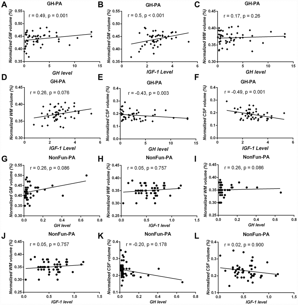 Correlation analysis between serum GH/IGF-1 levels and brain tissue volume in patients with GH-PA and patients with NonFun-PA groups. The normalized GM volume (nGMV) shows significant positive correlation with GH (A) and IGF-1 (B) in patients with GH-PA. The normalized WM volume (nGWV) shows no significant correlation with GH (C) or IGF-1 (D) in patients with GH-PA. The normalized CSF volume (nCSFV) shows significant negative correlation with GH (E) and IGF-1 (F) in patients with GH-PA. In patients with NonFun-PA, nGMV, nWMV, and nCSFV show no significant correlation with GH/IGF-1 (G–L).