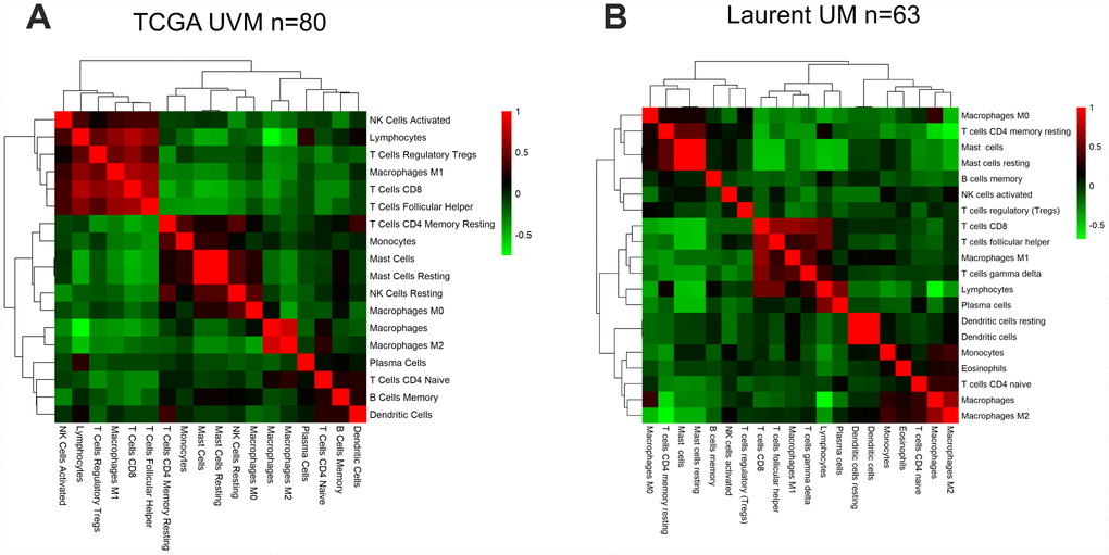 The correlation between the immune score and immune cell infiltration in UM. Pairwise correlation heatmap among immune cell-type scores in the datasets from TCGA (A) and GSE22138 (B).