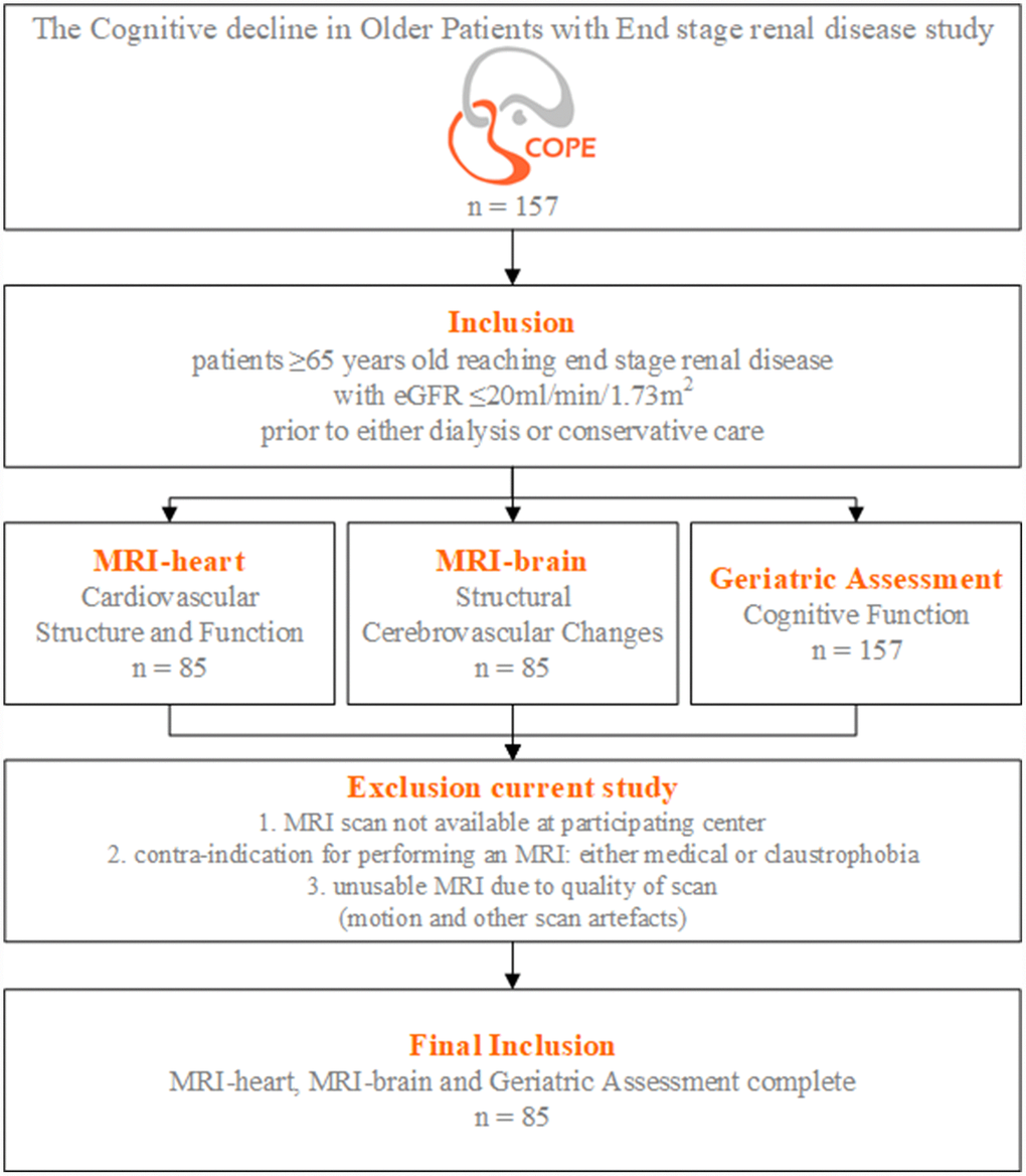 Flowchart study population. Inclusion and exclusion criteria of the COPE (The Cognitive decline in Older Patients with End stage renal disease) study.