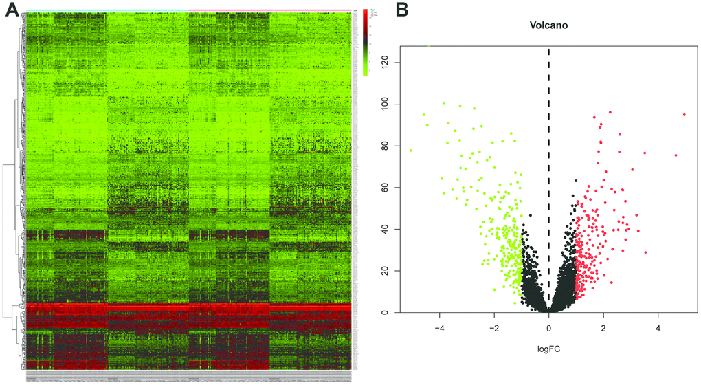 Identification of differentially expressed lincRNAs (DELs) by using “edgeR” and “DEseq” R package. (A) The heatmap of the DELs in ESCC when compared with normal tissue. (B) Volcano plot shown the expression change in ESCC when compared with normal tissue. An absolute log2 fold change (FC) > 1 and an adjusted P value of 