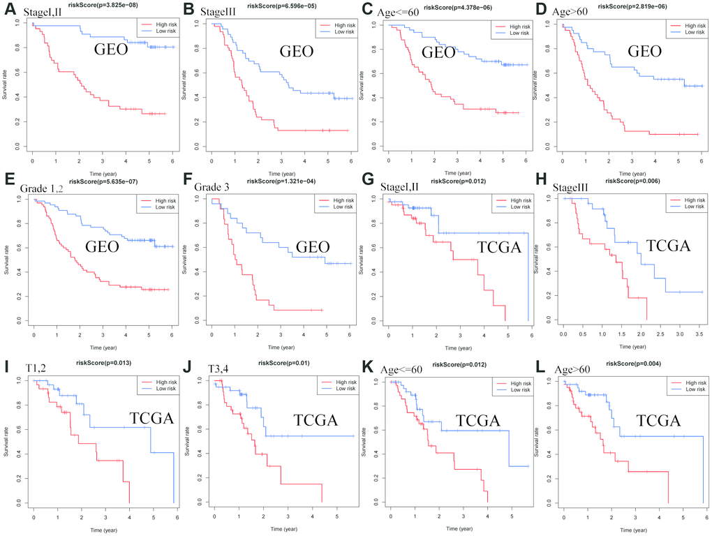Confirmation of the signature stratified by different clinical factors in the GEO and TCGA cohorts. Kaplan–Meier survival for OS in subgroups stratified by stage I,II (A) stage III (B) age≤60 (C) age > 60 (D) grade 1,2 (E) grade 3 (F) in the GEO cohort, and stage I,II (G) stage III (H) T1,2(I) T3,4(J) age≤60 (K) age > 60 (L) in the TCGA cohort.