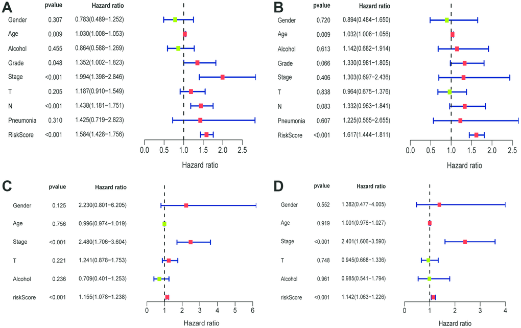 Univariate and multivariate Cox regression analyses of clinical factors associated with overall survival. (A-B) Univariate Cox regression analyses of clinical factors associated with overall survival in the TCGA (A) and GEO (C) set. (C-D) Multivariate Cox regression analyses of clinical factors associated with overall survival in the TCGA (B) and GEO (D) sets.