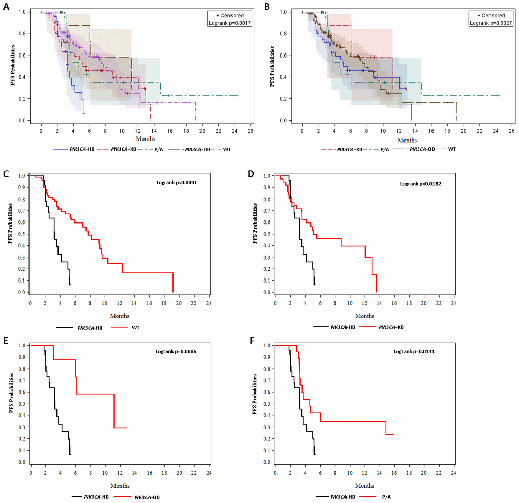 Kaplan-Meier (KM) curves for progression-free survival (PFS) probabilities. (A) KM curves for PFS probabilities stratified by wild-type (WT) and PIK3CA–KD mutations, PIK3CA–HD mutations, PIK3CA–OD mutations, and other PI3K/AKT pathway aberrations (P/A). (B) KM curves for PFS probabilities stratified by wild-type (WT) and PIK3CA–KD mutations, PIK3CA–OD mutations, and other PI3K/AKT pathway aberrations (P/A). (C) KM curves for PFS probabilities stratified stratified by wild-type (WT) and PIK3CA–HD mutations. (D) KM curves for PFS probabilities stratified stratified by PIK3CA–HD mutations and PIK3CA–KD mutations. (E) KM curves for PFS probabilities stratified by PIK3CA–HD mutations and PIK3CA–OD mutations. (F) KM curves for PFS probabilities stratified by PIK3CA–HD mutations and other PI3K/AKT pathway aberrations (P/A).