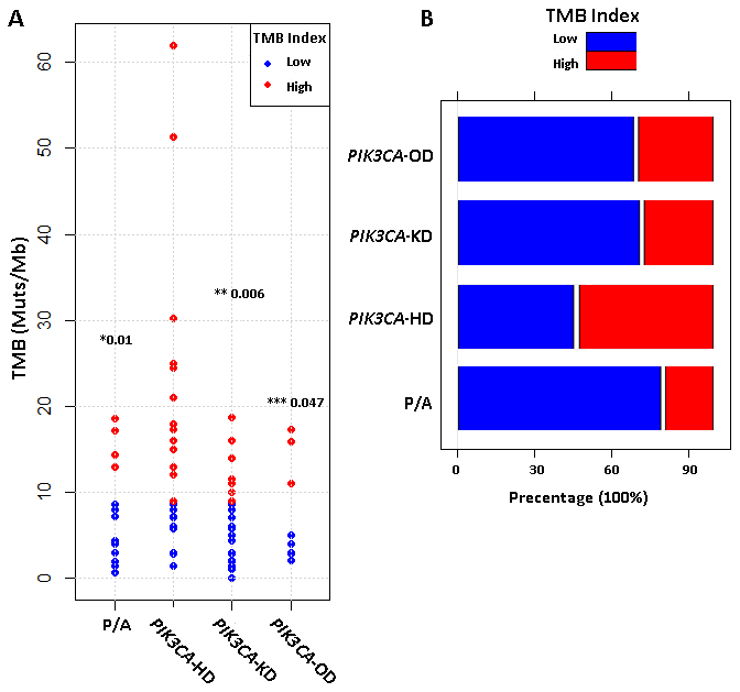 Tumor mutation burden (TMB) for different metastatic breast cancer subtypes. (A) Comparison of TMB levels (mutations per million bases, muts/Mb) among four types of PI3K/AKT pathway aberrations. p-value for PIK3CA-HD vs PIK3CA-KD (*), PIK3CA-HD vs PIK3CA-OD (**) and PIK3CA-HD vs P/A (***) were calculated by using non-parametric wilcoxon rank-sum test. (B) Barplot compared the percentages of TMB-High (red) and TMB-Low (blue) patients among four different types of PI3K/AKT pathway aberrations.