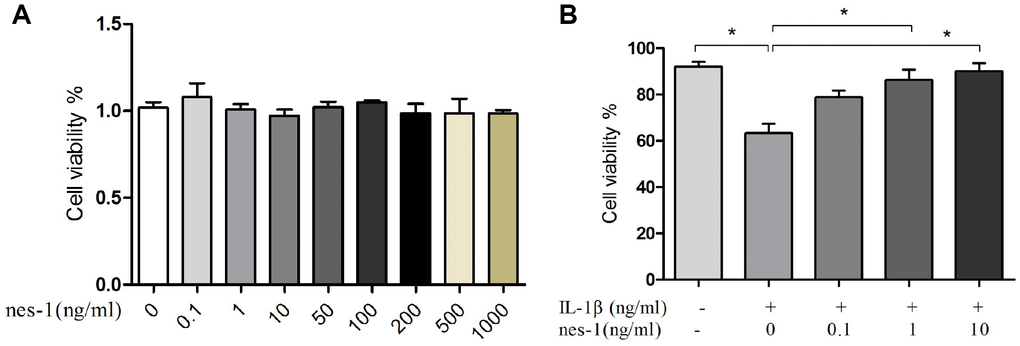 Effect of nesfatin-1 and IL-1β on cell viability. (A) Cells treated with increasing concentrations of nesfatin-1 (0, 0.1, 1 to 1000 ng/mL) for 24 h. (B) Pre-treatment with nesfatin-1 for 2 hours, followed by IL-1β treatment for 24 h. Chondrocyte viability was evaluated via CCK-8 analysis. Data represent the mean ± SD (n=3) and were analyzed by one-way analysis of variance followed by Tukey's post hoc test.* p 
