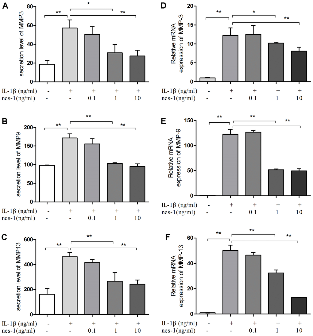 Nesfatin-1 suppressed the IL-1β-induced MMP-3, MMP-9, and MMP-13 expression in rat chondrocytes and the secretion level in the supernatant. Chondrocytes were treated with different concentrations of nesfatin-1 on IL-1β-induced chondrocytes for 24 h. The secretion level of MMPs was evaluated by ELISA (A, B, and C) and the mRNA level of MMPs was evaluated via real-time PCR (D, E, and F). The values are expressed as mean ±SD (n=3) and were analyzed by one-way analysis of variance followed by Tukey's post hoc test. **p 