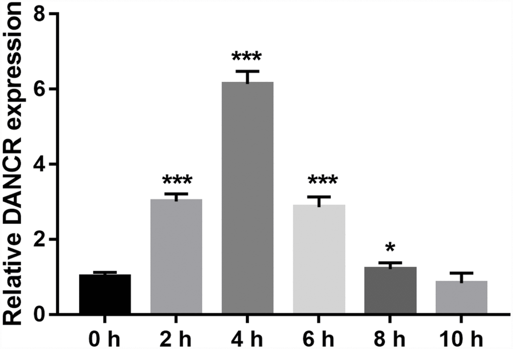 DANCR expression increased after OGD treatment. DANCR expression was measured using qRT-PCR after OGD treatment for 0, 2, 4, 6, 8, and 10 h. *PP