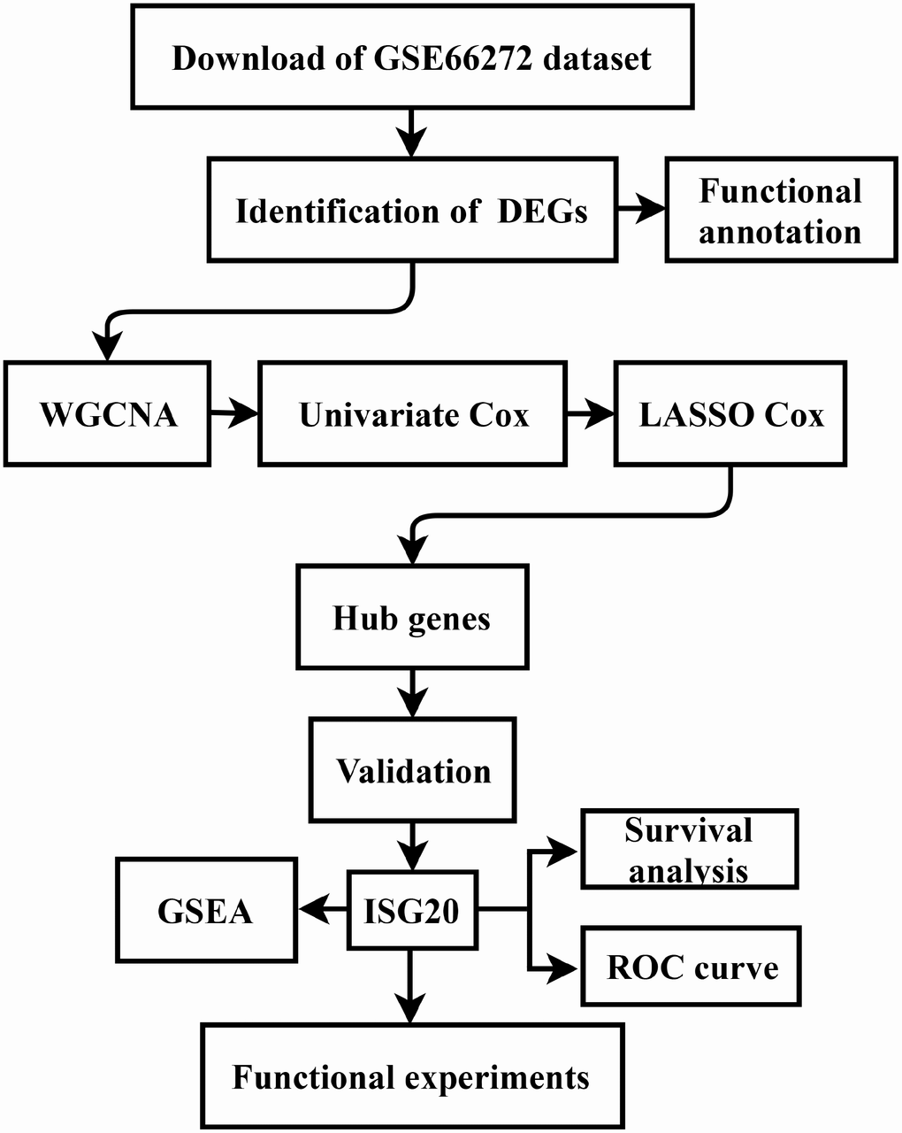 Flow diagram of the study. Data collection and analysis were exhibited in the flow diagram. DEGs: differentially expressed genes; WGCNA: weighted gene co-expression network analysis; LASSO: least absolute shrinkage and selection operator; GSEA: gene set enrichment analysis; ROC: receiver operator characteristic.