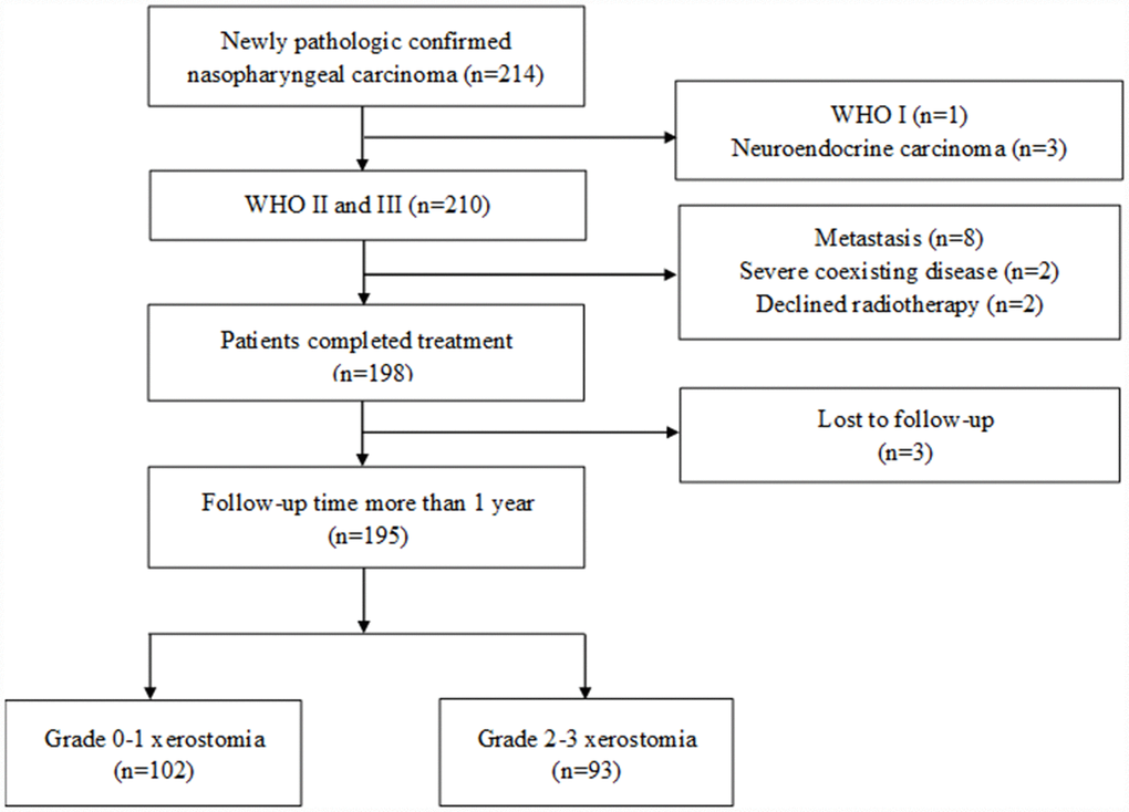 Flowchart depicting patient selection.