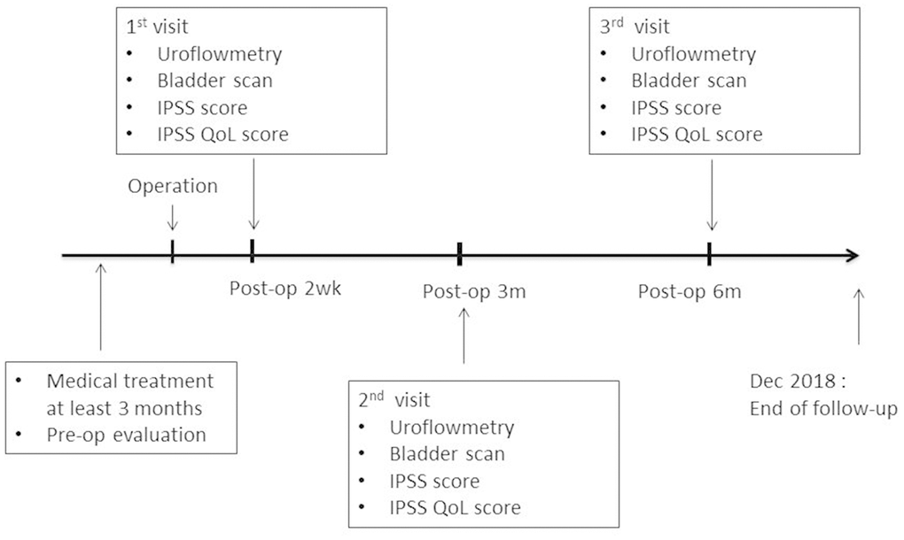 Study flow diagram.