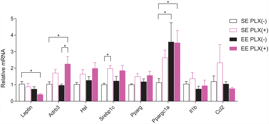 Retroperitoneal white adipose tissue gene expression.n=5-6 per group. *ppppSupplementary File 1.