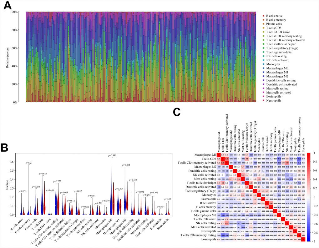 EP300 mutation is correlated with tumor-infiltrating immune cells. (A) Stacked bar chart shows distribution of 22 immune cells in each sample. (B) Violin plot displays the differentially infiltrated immune cells between EP300-mutant groups and EP300-wild group. Blue color represents EP300-wild group, and red color represents EP300-mutant group. (C) Correlation matrix of immune cell proportions. The red color represents positive correlation and the blue color represents negative correlation.