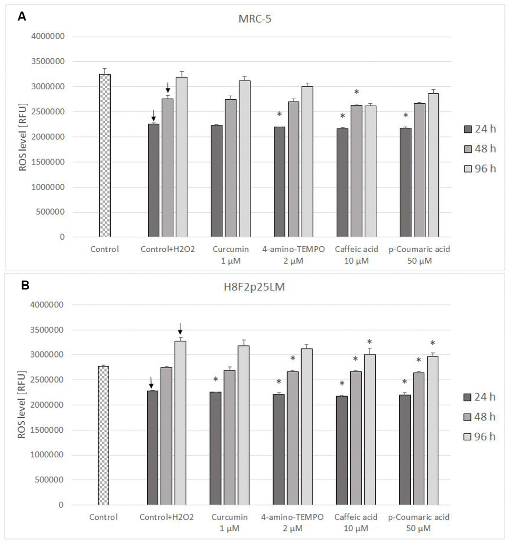 ROS level (estimated with H2DCFDA) in MRC-5 (A) and H8F2p25LM (B) cells after 24 h treatment with hydrogen peroxide and 24 h, 48 h, 96 h posttreatment with selected concentrations of antioxidants. * P≤0.05, t-Student test against H2O2 treated control; ↓ differences between treated and non-treated control.