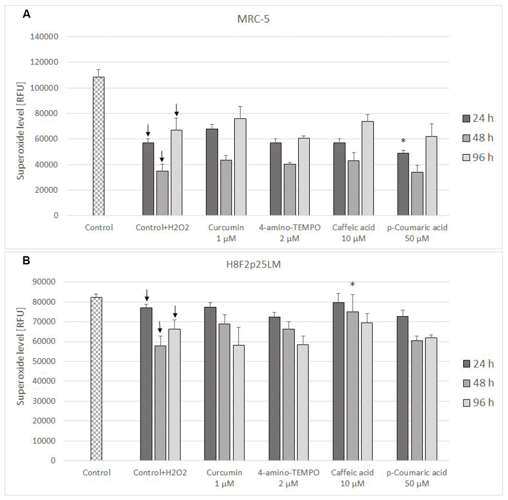 Mitochondrial superoxide level in MRC-5 (A) and H8F2p25LM (B) cells after 24 h treatment with hydrogen peroxide and 24 h, 48 h, 96 h posttreatment with selected concentrations of antioxidants. * P≤0.05 t-Student test against H2O2 treated control; ↓ differences between treated and non-treated control.