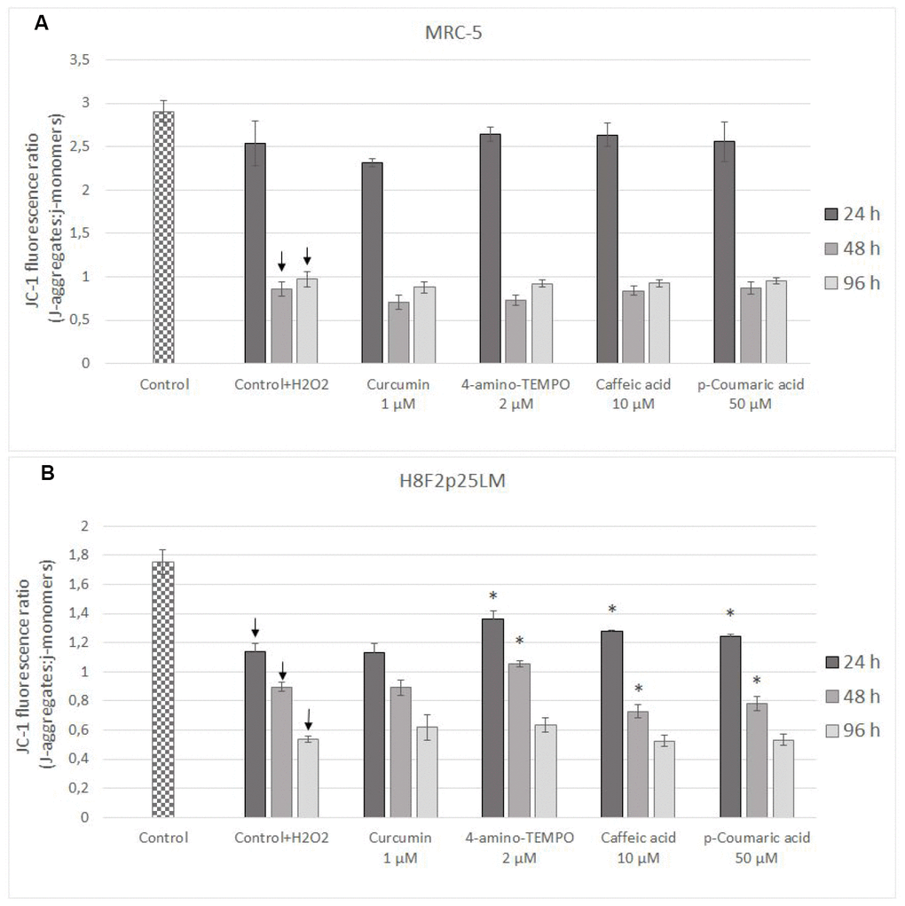 Changes in MRC-5 (A) and H8F2p25LM (B) cell mitochondrial potential after 24 h treatment with hydrogen peroxide and 24, h 48 h, 96 h posttreatment with selected concentrations of antioxidants. * P≤0.05 t-Student test against H2O2 treated control. ↓ differences between treated and non-treated control.