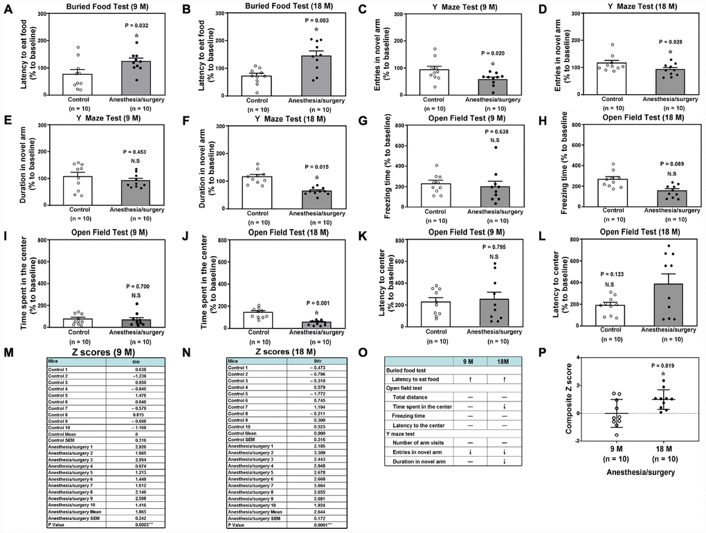 Anesthesia/surgery induces age-dependent postoperative delirium-like behaviors in mice. Buried food test in the 9 (A) or 18 (B) months old mice. Y maze test (Entries in novel arm) in the 9 (C) or 18 (D) months old mice. Y maze test (Duration in novel arm) in the 9 (E) or 18 (F) months old mice. Open field test (Freezing time) in the 9 (G) or 18 (H) months old mice. (I) Open field test (Time spent in the center) in the 9 (I) or 18 (J) months old mice. Open field test (Latency to center) in the 9 (K) or 18 (L) months old mice. The composite Z scores quantitatively demonstrate the postoperative delirium-like behavior between the control condition and anesthesia/surgery in 9 (M) or 18 (N) months old mice. The comparison of the qualitative (O) or quantitative (P) changes of the postoperative delirium-like behaviors between the 9 and 18 months old mice. The composite Z scores in the 18 months old mice were higher than those in the 9 months old mice, which demonstrates that the anesthesia/surgery may cause a greater postoperative delirium-like behaviors in the 18 months old mice than those in the 9 months old mice (P). N = 10 in each group. The Student’s t-test was used to analyze the data presented in (A–N). The Mann–Whitney U test was used to analyze the data presented in (P). * = P 