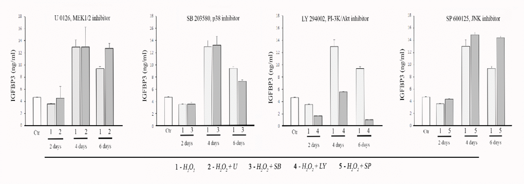 Effects of the MAPK and PI3K pathway inhibitors on IGFBP3 releasing from MESCs in conditioned media (CM). Cells were treated with 200 μM H2O2 for 1 h, or cells pretreated with one of specific inhibitors (10 μM U0126, 5 μM SB203580, 20 μM LY294002, 10 μM SP600125,) for 30 min were exposed to 200 μM H2O2 for 1 h, and then incubated with each of inhibitors for the indicated time; Ctr – untreated cells. The IGFBP3 concentration in CM was quantified by the ELISA. Mean values ± SD of three independent experiments are shown; p2O2 (except 2 d) and each of inhibitors at the indicated time periods compared with Ctr (except U0126, 2 d and 4 d). Also, p2O2 at the same time point.