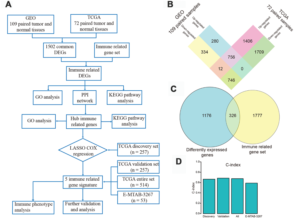 Flow chart of the study design and identification of differentially expressed genes (DEGs). (A) Flow chart of our research project. (B) Using gene expression data of 109 pairs of normal and tumor tissues from Gene Expression Omnibus and 72 paired samples from The Cancer Genome Atlas (TCGA) database, 756 up-regulated and 746 down-regulated DEGs were identified and extracted from the two databases. (C) These DEGs were intersected with a gene set including 2103 immune-related genes (IRGs), and 326 differently expressed IRGs were identified. (D) Harrell's concordance index of the five-gene signature in the TCGA discovery, validation, and entire sets, and in the E-MTAB-3267 dataset.