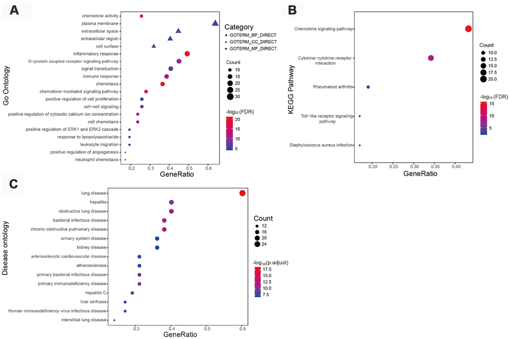 Functional enrichment of 47 immune-related hub genes. (A) Top 20 most significant Gene Ontology (GO) terms identified by GO analysis. (B) Kyoto Encyclopedia of Genes and Genomes pathway analysis. FDR C) Top 15 most significant disease ontology (DO) terms identified by DO analysis.