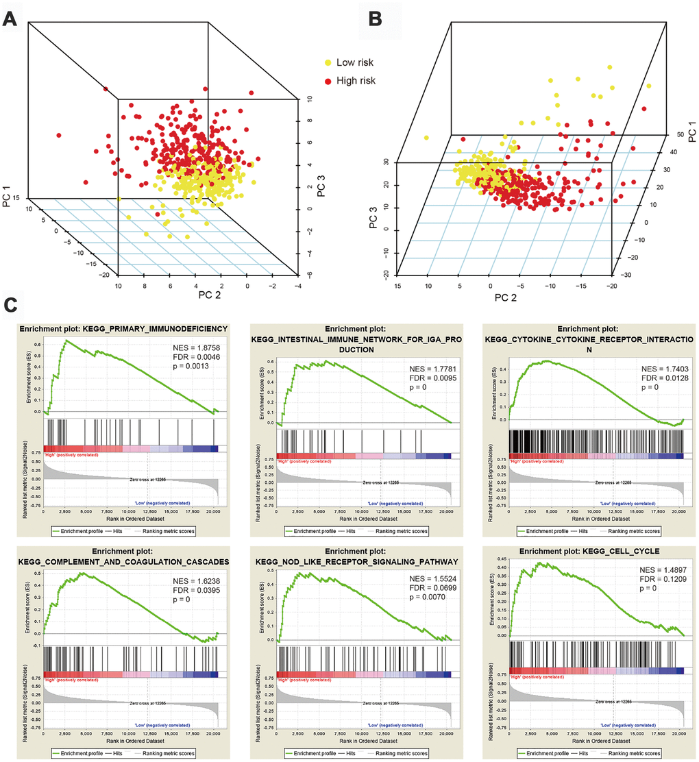 Principal component analysis (PCA) and gene set enrichment analysis (GSEA). (A) PCA based on 47 immune-related hub genes (IRGs) showing distinct immune phenotypes in high- and low-risk patient groups. (B) Distribution patterns for the two risk groups based on 326 differentially expressed IRGs. (C) GSEA results showing significant enrichment of immune-related phenotype in high-risk patients.