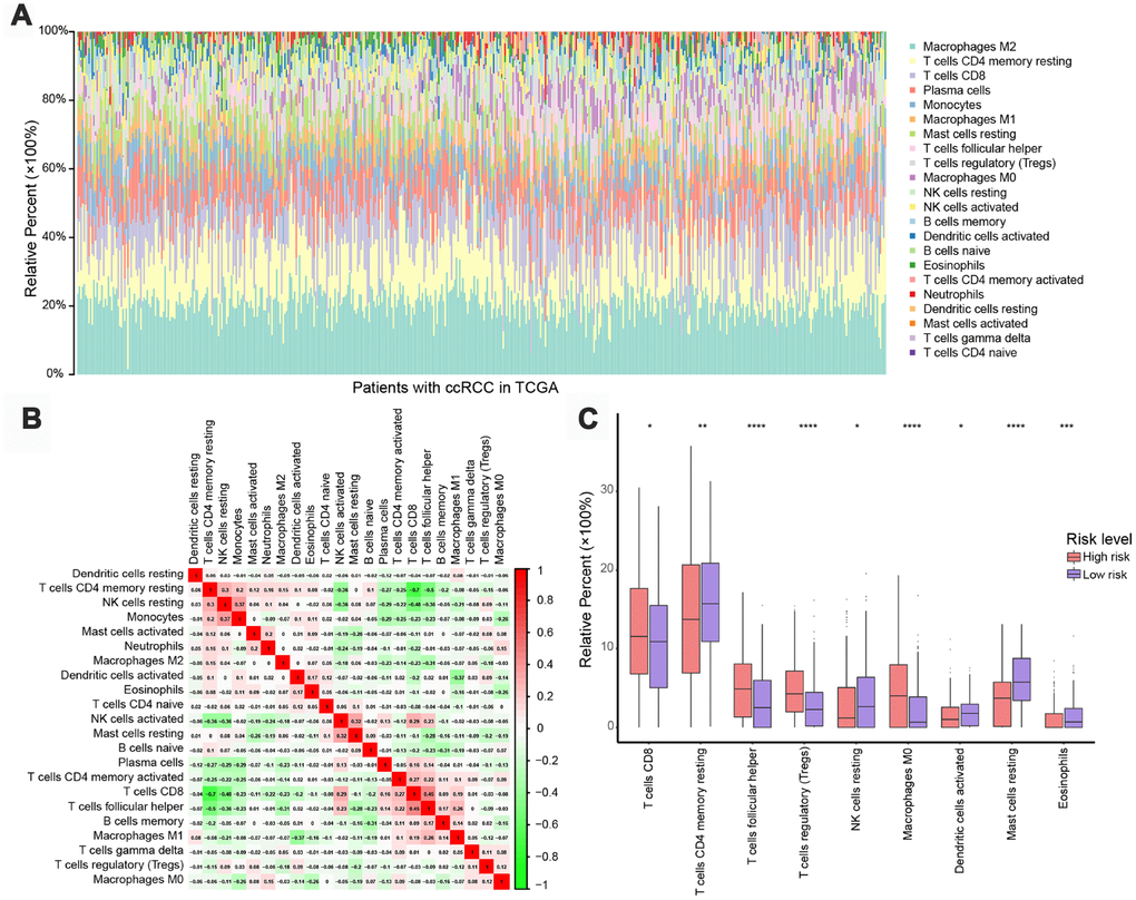 Immune landscapes in high-risk and low-risk patients. (A) Relative proportions of 22 immune cell types in high- and low-risk patients. (B) Correlation matrix of relative proportions of the 22 immune cell types. (C) Box plots showing differential immune cell infiltration status between high- and low-risk patients. *P P P P 