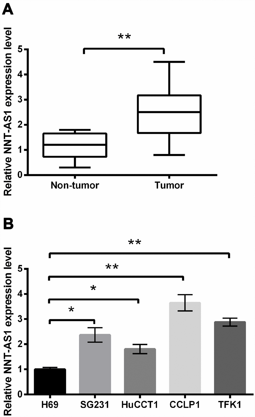 NNT-AS1 overexpression was occurred in CCA. NNT-AS1 levels in CCA tissues (A) and cell lines (B) were measured through qRT-PCR. * P P 