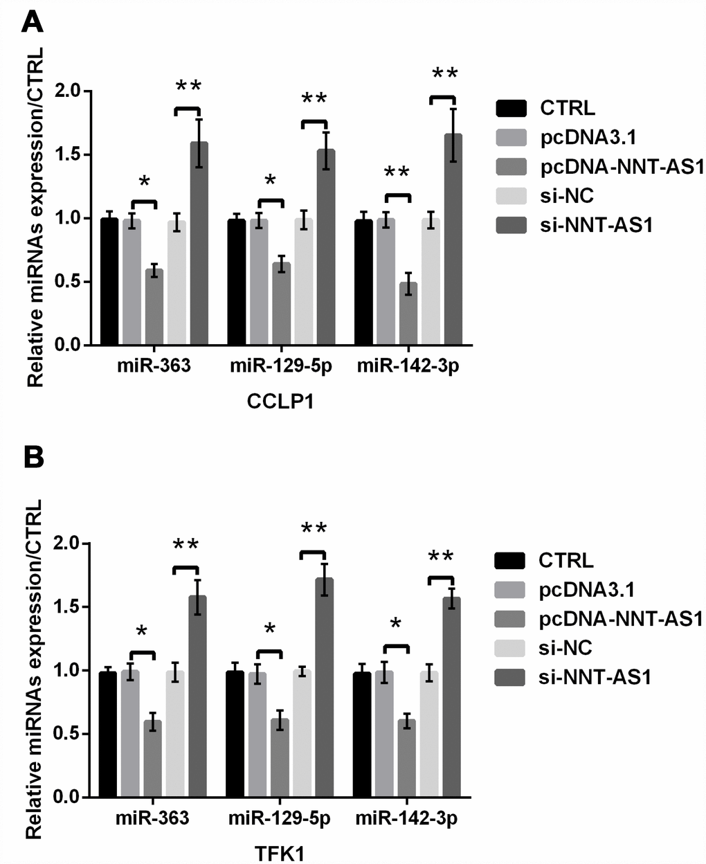 NNT-AS1 regulated other miRNAs in CCA. The expression of miR-363, miR-129-5p and miR-142-3p was examined via qRT-PCR in CCLP1 (A) and TFK1 (B) cells. * P P 