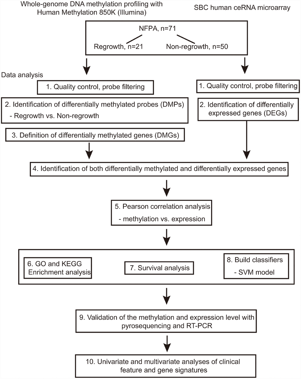 Flowchart of this study.