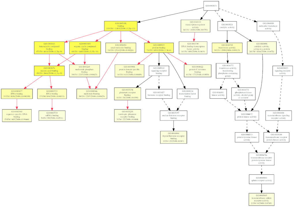 The GOEAST graph of enriched GO terms in the biological process terms for the possible target mRNAs of miRNAs binding to the differentially expressed circRNAs.